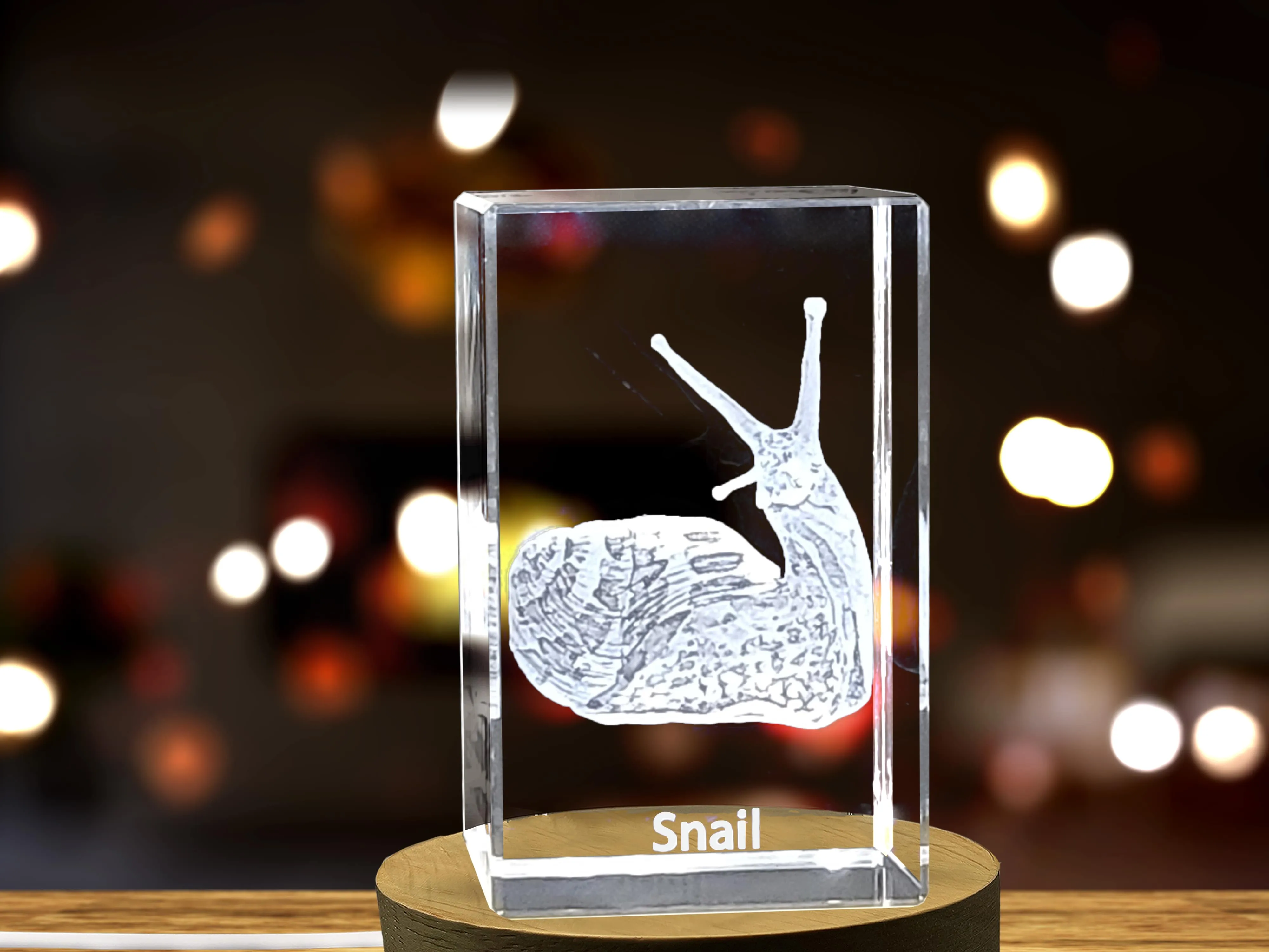 3D Engraved Crystal Snail Spirals Keepsake - Captivating Artistry & Meticulous Craftsmanship