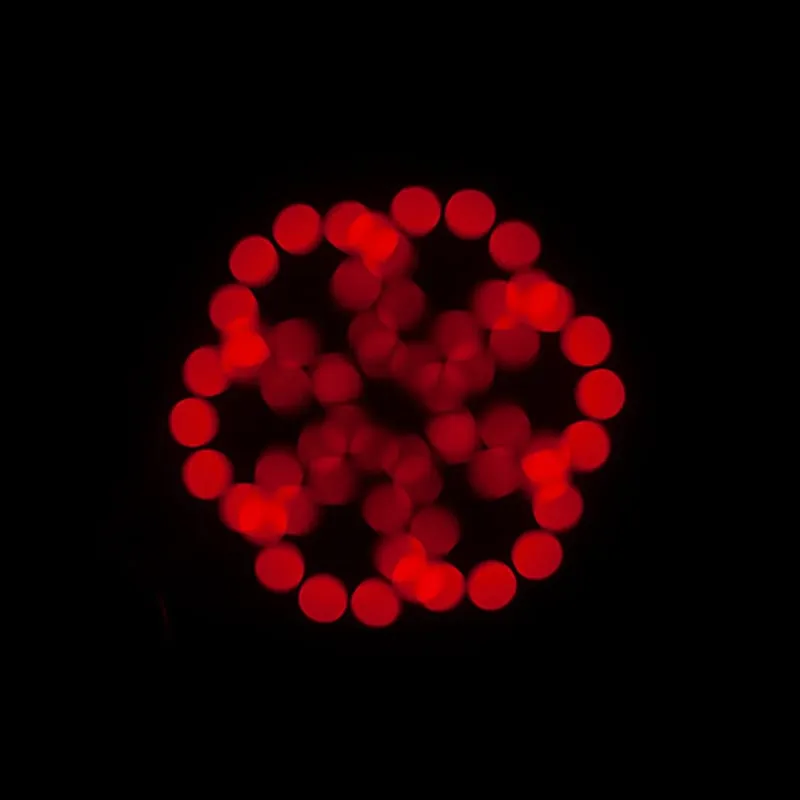 American DJ Focus Spot 5Z Cool White LED Moving Head Focus Spot Light American DJ American DJ Focus Spot 5Z Cool White LED Moving Head Focus Spot Light