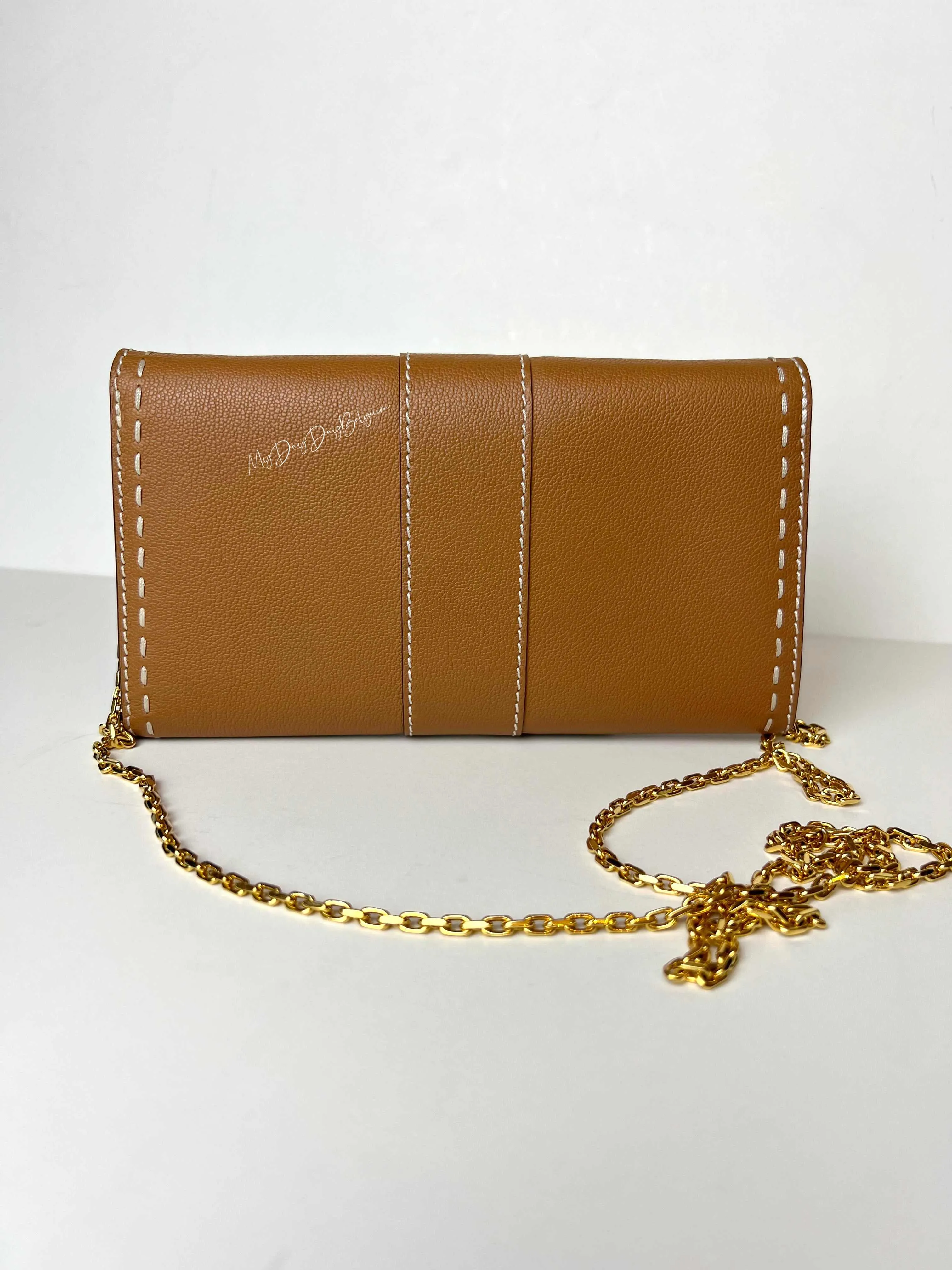 Delvaux Brillant Long Wallet Chain vegetal 2021